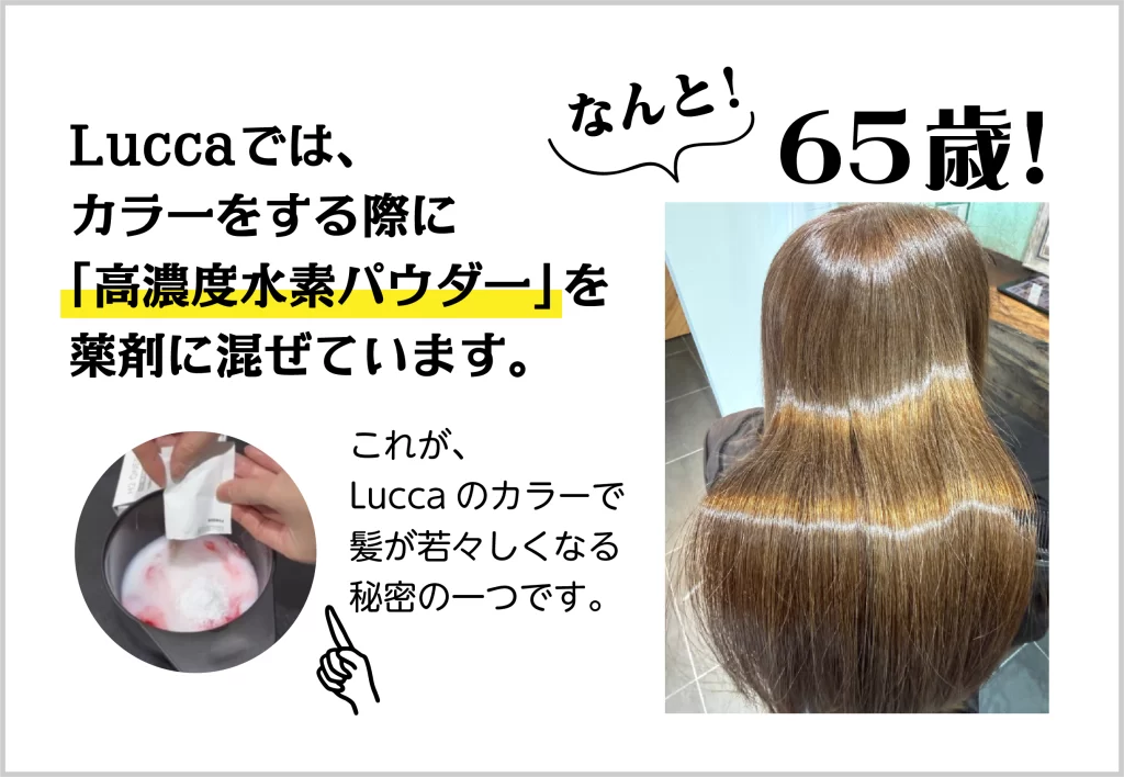 水素シールドカラー